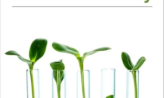 2024: The Year of Breakthroughs in Green Chemistry