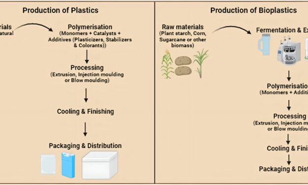  How Bioplastics Are Revolutionizing Packaging Solutions