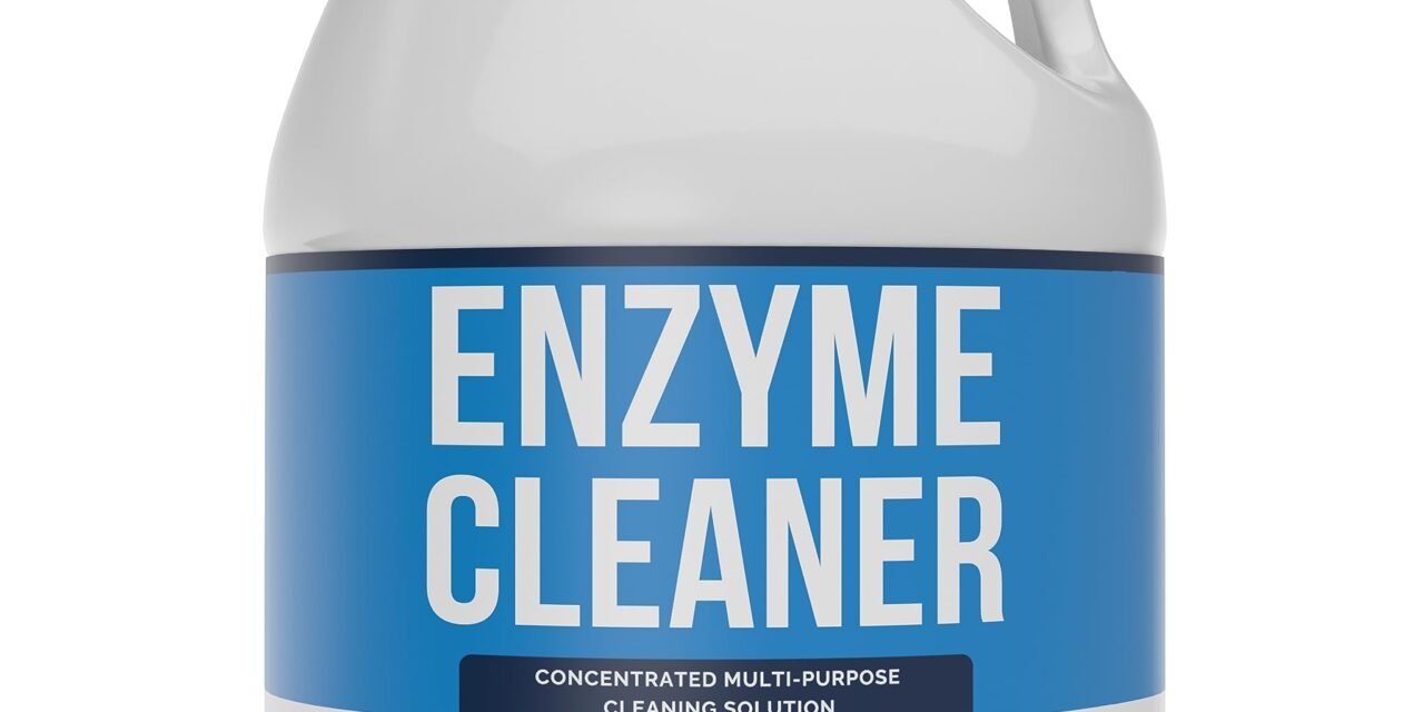 The Role of Enzymes in Cleaner Chemical Processes
