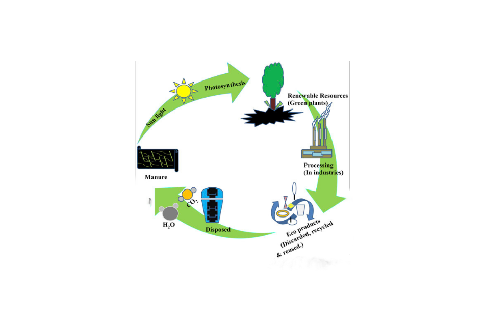 Bioplastics New Ventures Acquire Speed In the Face of Environmental Criticism