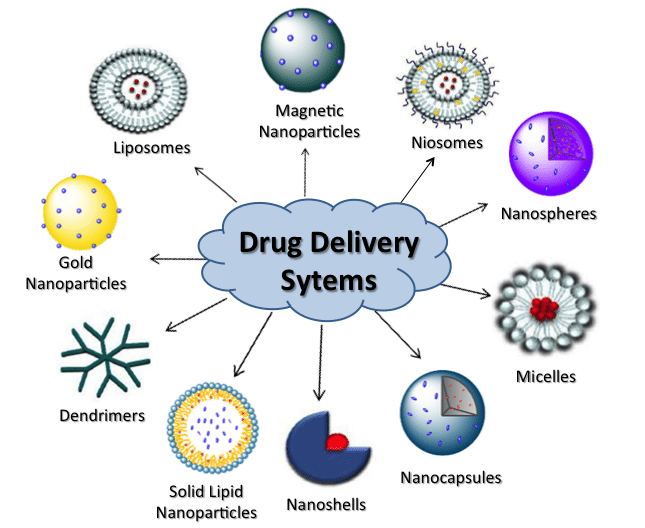  What is the future of excipients in drug delivery systems?