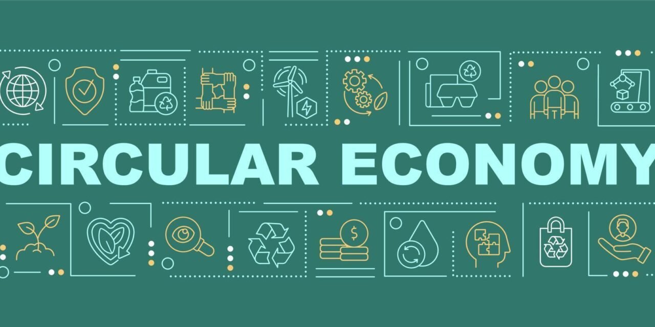 How are circular economy principles applied to petrochemicals?