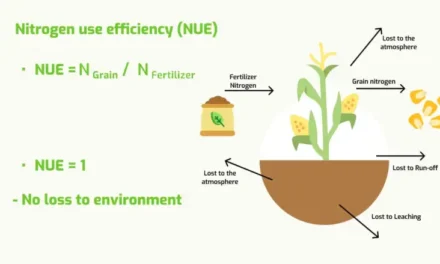 What innovations are improving nitrogen-use efficiency in fertilizers?