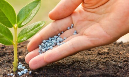 What is the future of customized fertilizers for specific crops?