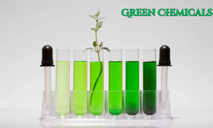 How are governments and regulatory bodies supporting green chemicals?