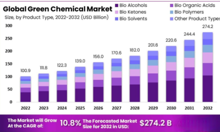 What is the future outlook for the green and sustainable chemicals market?