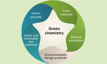 What are the main challenges faced by companies in adopting green chemistry practices?