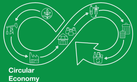 How can the chemical industry transition to a circular economy using green chemicals?