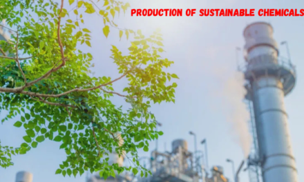What role does renewable feedstock play in the production of sustainable chemicals?