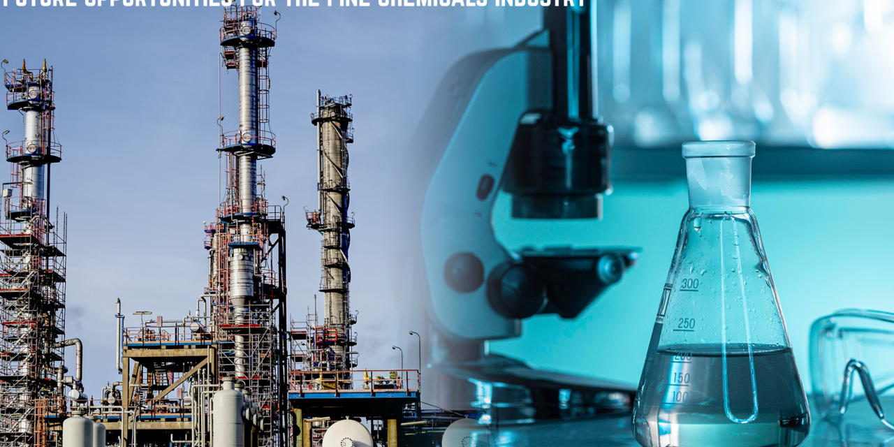 What are the future opportunities for the fine chemicals industry?