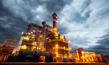 How Do Oil Companies Make Petrochemical Investments During the Energy Transition?