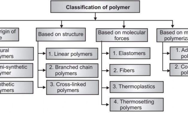 What are polymers, and how are they classified?