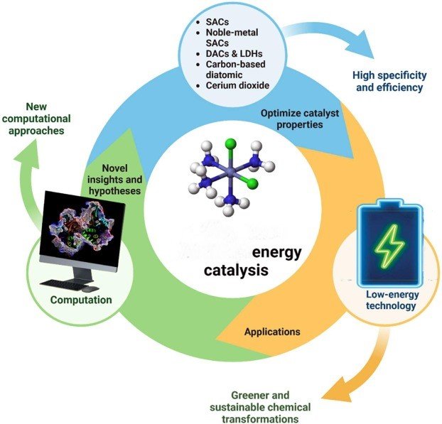 What role do catalysts play in improving the efficiency of fundamental chemical processes?