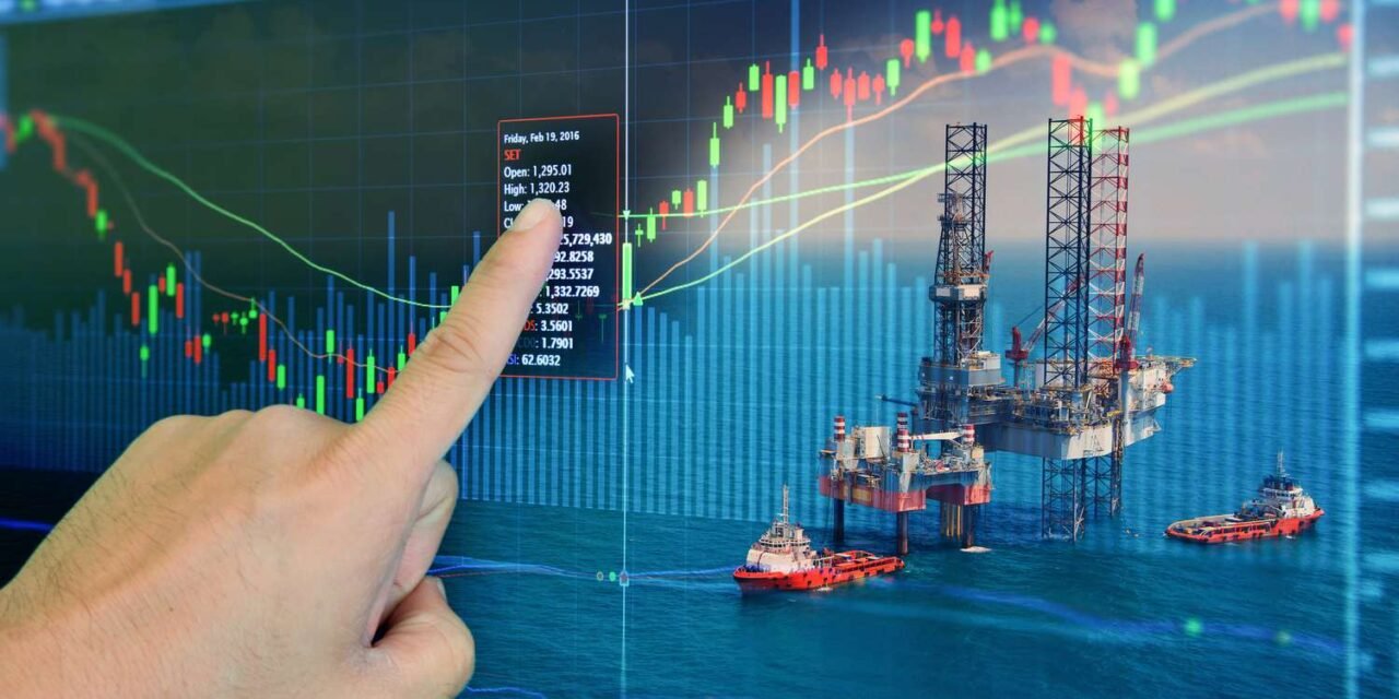 How do crude oil price fluctuations affect the petrochemical market?