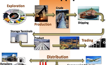 What are the risks of petrochemical supply chain disruptions?