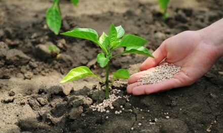What innovations are reducing the environmental footprint of fertilizers?