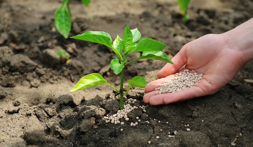 What innovations are reducing the environmental footprint of fertilizers?
