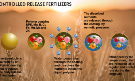 What is the role of controlled-release fertilizers in sustainable farming?