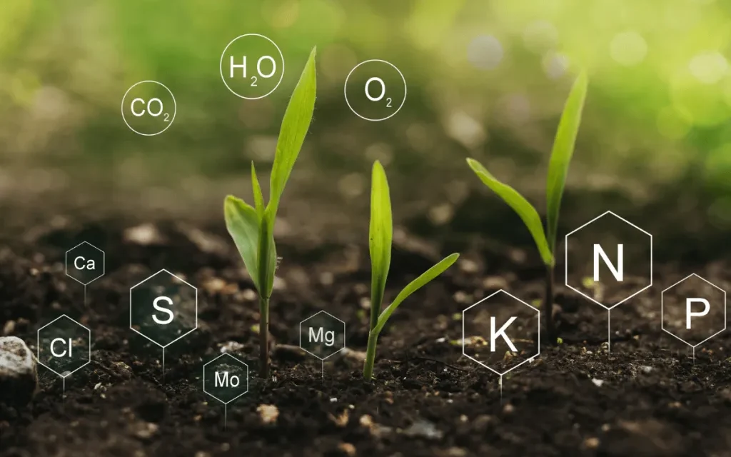  How are micronutrients integrated into modern fertilizers?