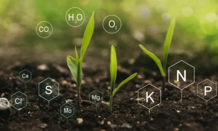 How are micronutrients integrated into modern fertilizers?