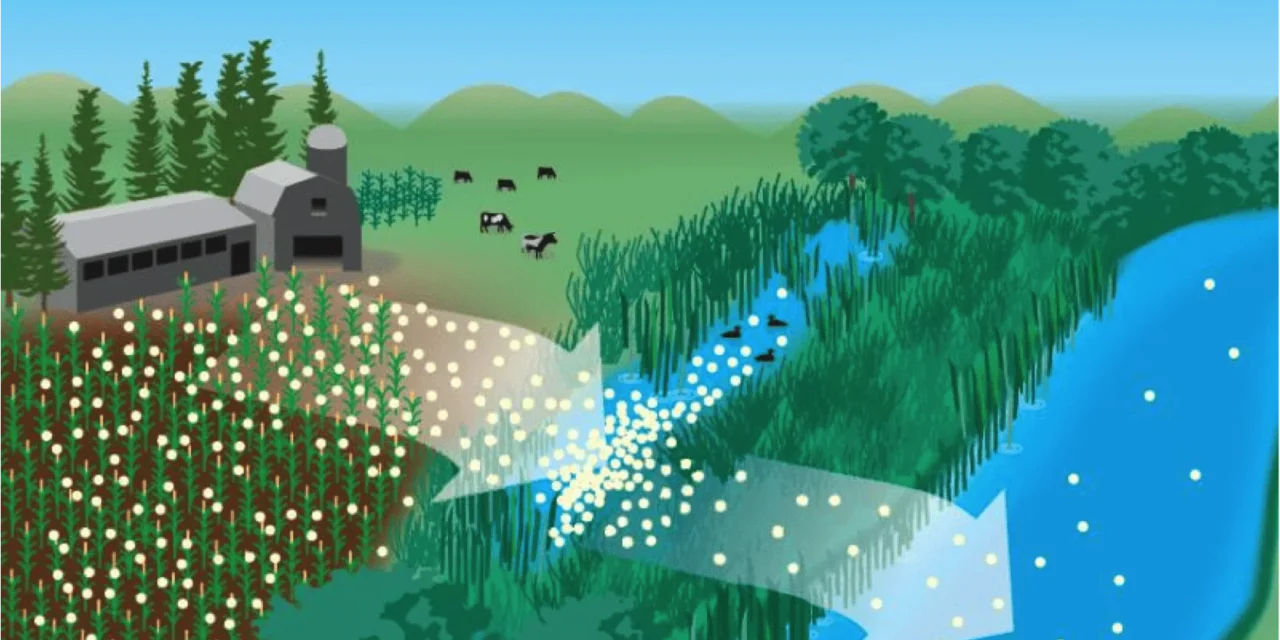 What are the environmental risks of overusing chemical fertilizers?