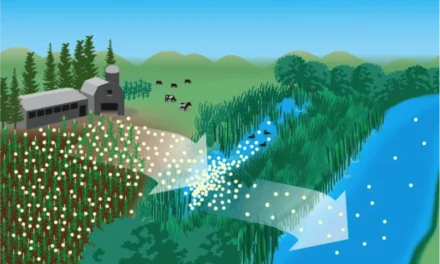 What are the environmental risks of overusing chemical fertilizers?