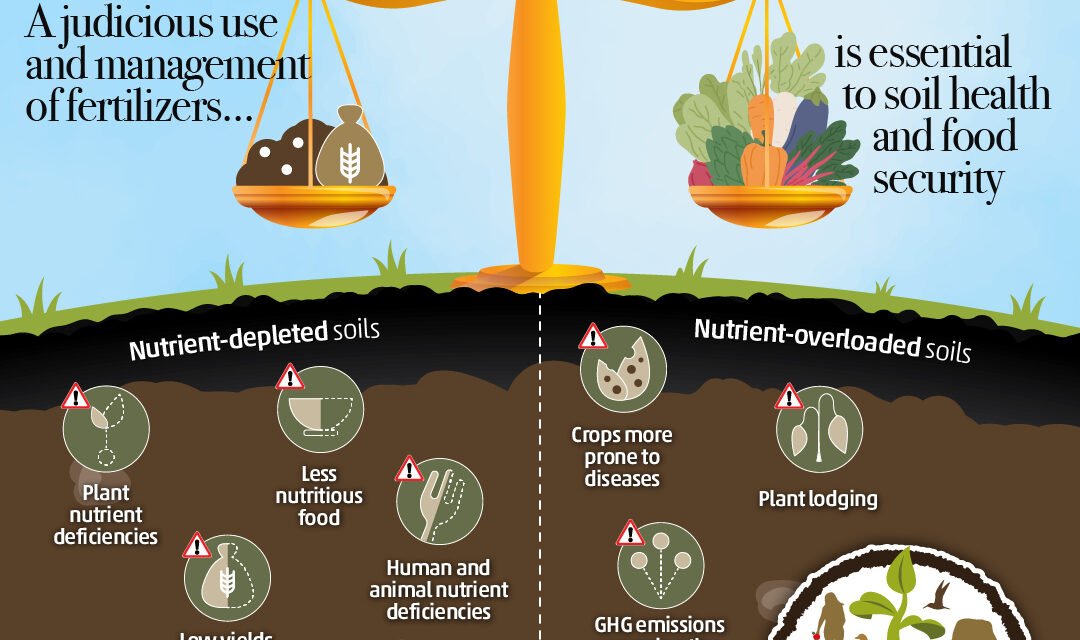 How are fertilizers addressing global food security challenges?