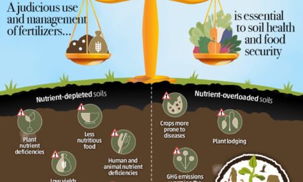 How are fertilizers addressing global food security challenges?