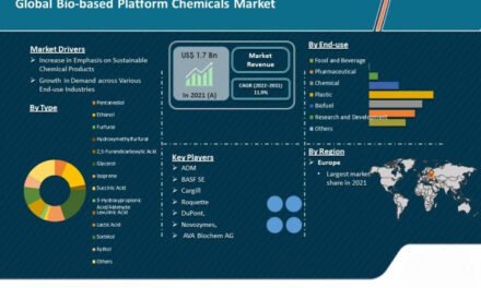 What is the market potential for bio-based industrial chemicals?