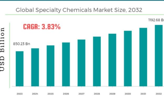 How does the specialty chemicals market compare to the broader chemicals market in terms of growth potential?