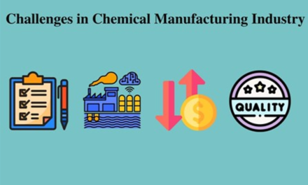 What are the major challenges facing the consumer chemicals sector today?