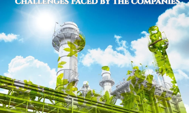 What challenges do companies face in transitioning to green chemicals?