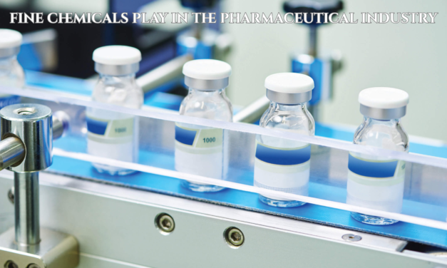 What role do fine chemicals play in the pharmaceutical industry?