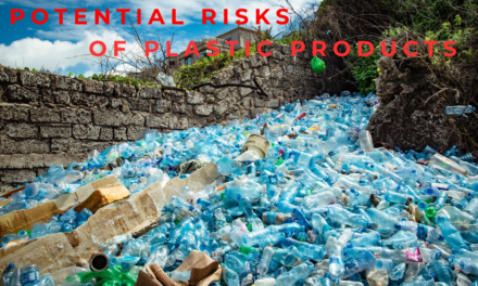 What are the potential risks of plastic products in terms of human health?